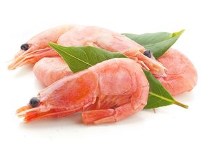 Camarones Frescos Congelados de Agua Fría, Mariscos Premium Enteros para Distribución Mayorista e Industria de Servicios Alimentarios - Product Image 4