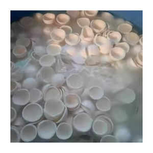 เนื้อมะพร้าวมะพร้าวสกัดมาตรฐานสูง - Product Image 6