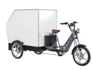 Triciclo Eléctrico de Carga con Carrocería Abierta, Ecológico y Eficiente para Entregas Urbanas - Product Image 5