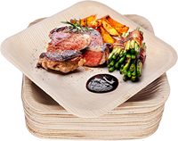 Assiettes carrées jetables en fibre d'arec de 9 pouces – Achat en gros – Vaisselle naturelle, durable, écologique et biodégradable pour la cuisine et les fêtes