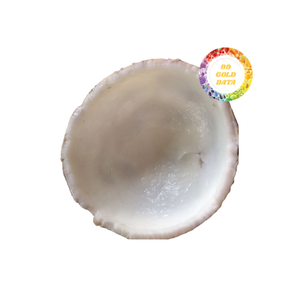 Segmentos de coco congelados a granel: cortados cuidadosamente y congelados rápidamente para batidos, postres asiáticos y cadenas de suministro de restaurantes - Product Image 1
