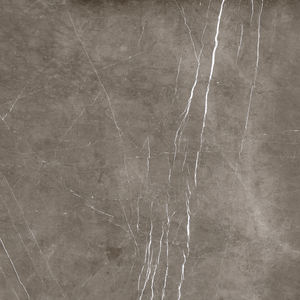 Azulejos de Granito Chino, Mármol Italiano, Azulejos Impresos para Pisos, Fabricación en India para Centros Comerciales. - Product Image 3