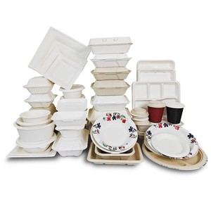Disposable Food Container Eco Friendly Biodegradable Lunch <strong>Box</strong> Disposable Plates Bowls and Dinnerware <strong>Set</strong> Manufacturer - Product Image 2