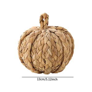 Vente en gros de style ferme jacinthe d'eau citrouille Halloween décor fait à la main vietnamien vente chaude durable livraison rapide usine - Product Image 2