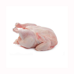 Venta al por mayor de pollo entero congelado Halal Precio competitivo Parte del cuerpo Empaquetado a granel - Product Image 2