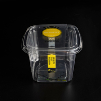Boîte en plastique transparente pour fraises, avec étiquette, pour dessert, mousse, yaourt, petit récipient carré avec couvercles