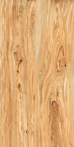 Carreaux de porcelaine modernes résistants à l'usure, aux acides et antibactériens, fabriqués en Inde pour salles de séminaire - Product Image 2