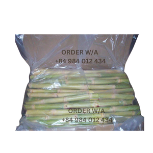 กากน้ำตาลสดจากเวียดนามขายส่ง - Product Image 1