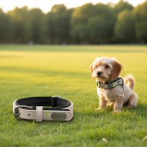 PU Neoprene Padded Dog <b>Collar</b> for <b>Pets</b> - Product Image 3