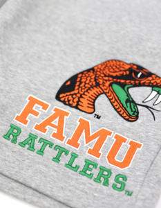 Florida A&M University FAMU <b>Shorts</b> - Product Image 2