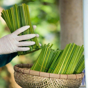 Vietnamese Eco-Friendly Disposable Grass <b>Straws</b> for Certified Simple Style Bar Accessories for Coffee Shops and <b>Cocktails</b> 13 cm - Product Image 5