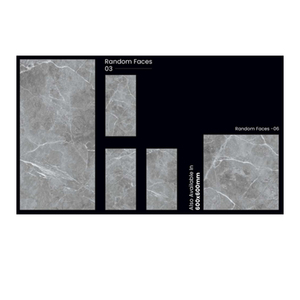 Fabricante indio de azulejos de porcelana de plata Brainstorm de calidad estándar disponibles en MOQ bajo - Product Image 2