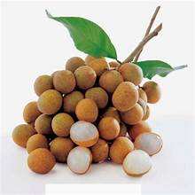 LONGAN EN JARABE PLANTA FRUTAL EN CONSERVAS PREMIUM BASADA PARA EL BIENESTAR DIARIO - Product Image 6