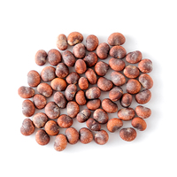 Extrait de fruit de Baobab sauvage africain en poudre, qualité AA, qualité alimentaire, en pot en verre/bocal Mason, emballé sous vide