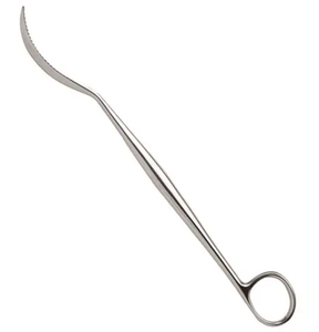 LANE 255mm Bone Leviers Fabricant Fournisseur Prix de gros Acier inoxydable - Product Image 1