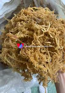 มอสทะเลไอริชตากแห้ง (kappaphycus alvarezii) ในราคาที่ดีที่สุดจากเวียดนาม // Ms. shyn - Product Image 6