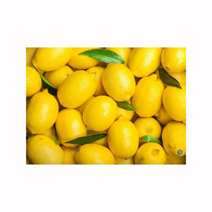 Citrons sucrés et acidulés, agrumes frais et mûrs, produits de première qualité, approvisionnement en gros, exportateurs naturels - Product Image 2
