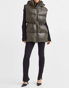 Chaqueta Acolchada sin Mangas para Mujer, Estilo Hip Hop, con Capucha Impermeable, para Invierno, Informal, para Exteriores - Product Image 1