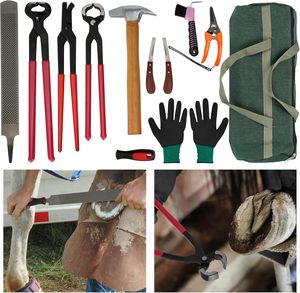 Kit de herramientas para cortar caballos equinos, 12 unidades, equipo veterinario profesional - Product Image 5