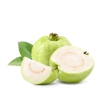 Wild Organic Guava Fruit Extract Poeder Voedingsmiddelkwaliteit voor Supplementen & Dranken Siammit Merk Groothandel Export Leverancier Uit Thailand