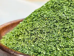 Corte en T de hoja de Moringa Premium | Superalimento de hierbas naturales | Fabricante y exportador indio - Product Image 4