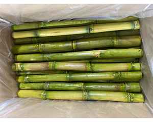Iqf อ้อยแช่แข็งพร้อมสำหรับการผลิตเครื่องดื่ม - Product Image 4
