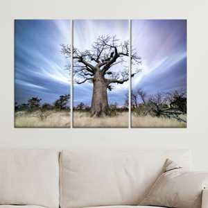 Lienzo Impreso: Arte de Paisaje Natural Africano con Árbol Baobab, Juego de 3 Lienzos - Product Image 1