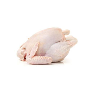 Poulet halal congelé, corps entier, élevé en ferme, nettoyé hygiéniquement, sous vide, en vrac, pour hôtels, restaurants et commerçants - Product Image 2