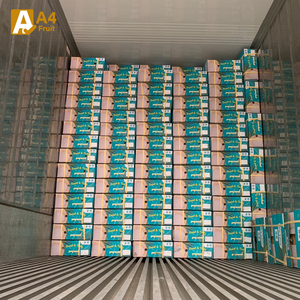 Coco joven orgánico de Tailandia Dulce y nutritivo Perfectamente maduro para hidratación y deleite culinario - Product Image 5