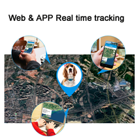 Traceur GPS GSM 2G 3G 4G pour animaux de compagnie avec collier, mini pour chiens et chats, suivi en temps réel via PC et application, design mini, léger