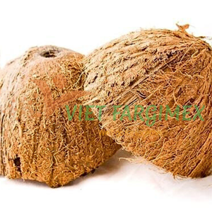 CÁSCARA DE COCO DE ALTA CALIDAD DE VIETNAM CON PRECIO BARATO/OFERTA CALIENTE EXPORTAR CÁSCARA DE COCO AL MEJOR PRECIO EN EL MERCADO DE VN - Product Image 4