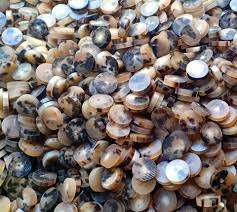 Bouton en corne de buffle de qualité supérieure Bouton en corne de vache à motif rond vierge pour la décoration des vêtements - Product Image 6