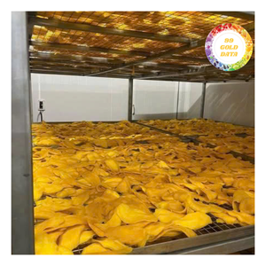 Mango Deshidratado Dulce y Suave, Exportación de Vietnam - Procesado con AD, Conservado en Sirope, Empaquetado a Granel, Calidad Premium, Suministro Confiable a Largo Plazo - Product Image 5