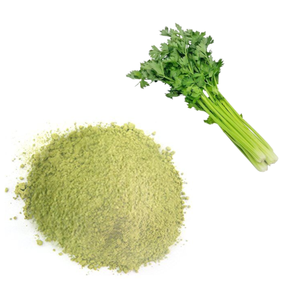 Polvo de apio listo para exportación Ideal para consumidores conscientes de la salud - Product Image 2