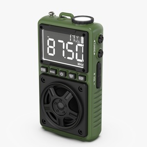 Green Lion Voyager para altavoz Bluetooth Radio portátil - Product Image 1