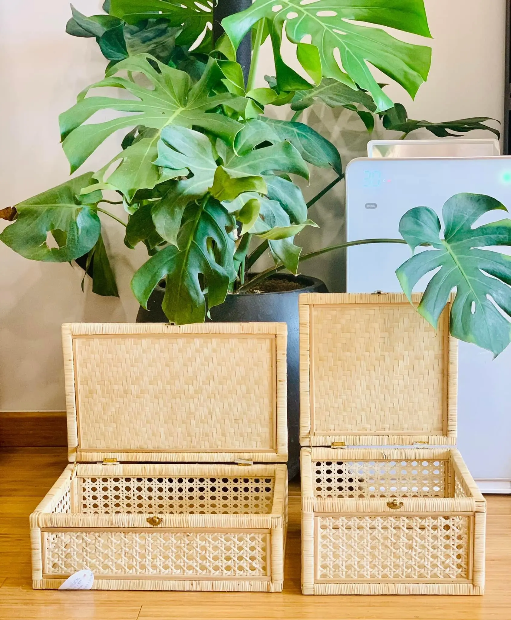 Woven Cane and Rattan Display Boxes Boho Styled Home Boxes & Bins