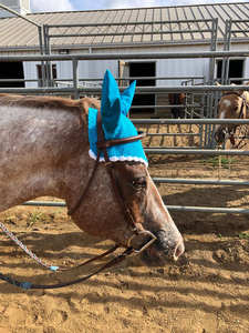 Velo de mosca de caballo personalizado de alta calidad, capó de oreja, Color azul, producto de equitación ecuestre con todos los diseños disponibles - Product Image 6