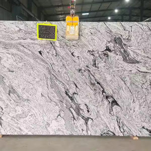 Surface polie par dalle blanche de granit de conception moderne de Viscon - Product Image 1