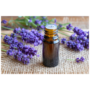 Aceite de lavanda indio a precio asequible, a granel - Product Image 3