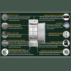 Équipement de réfrigération pour cuisine commerciale, armoire congélateur à porte simple - Product Image 6
