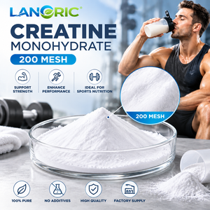 Créatine Monohydrate en Poudre 200 Mesh Pure pour Nutrition Sportive – Vente en Gros OEM ODM – Approvisionnement Direct Usine - Product Image 3