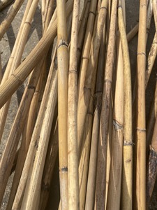 Rattan <b>Canes</b>/ Rattan Poles Eco-friendly 100% Natural Rattan Material for Home Decor Straight Rattan Stakes for Building - Product Image 2