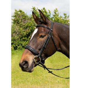 Bride de cheval en cuir de haute qualité de choix de professionnels pour un usage équin - Product Image 1
