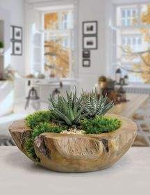 Maceta de madera de pueblo, maceta Wishing Well, decoración de jardín de patio trasero, macetas creativas de madera, macetas de flores de corteza de abeto, jardín - Product Image 3