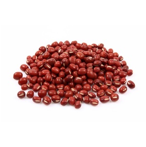 Venta al por Mayor de Fábrica de Frijoles Adzuki, Frijoles Rojos para la Venta/Exportación - Product Image 3