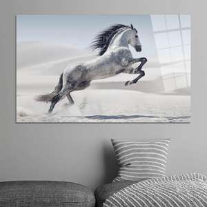 Impression sur toile élégante de cheval de désert - Décoration animale minimaliste, ART SUR VERRE TÉRMÉRISÉ - Product Image 1