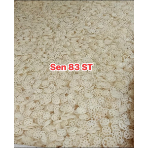 Raíces de Loto Frescas de Alta Calidad de Vietnam, Lavadas, Naturales y Saludables para Compradores Globales - Product Image 5