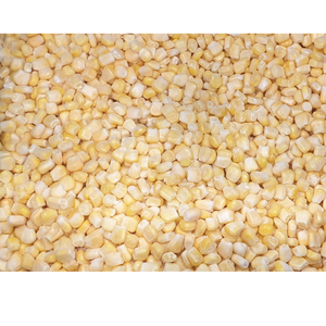 Maíz fresco congelado en la mazorca, pelado, limpio y empaquetado para almacenamiento, ideal para preparación de alimentos a gran escala - Product Image 4