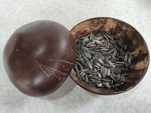 Premium écologique gravé bambou noix de coco coquille bols à la main de haute qualité Vietnam usine exportation en gros - Product Image 6