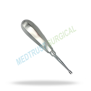 Elevador Dental Quirúrgico Estándar 501 de 5.6mm con Punta de Ala para Extracción Dental y Elevación de Raíces - Product Image 3